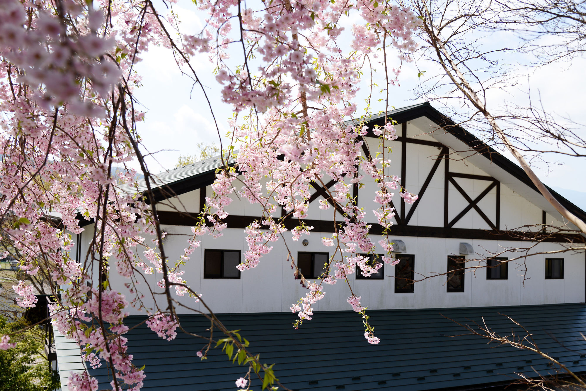 คาวางูจิโกะ คันทรี คอตเทจ บัง Hotel ฟูจิคาวากุจิโกะ ภายนอก รูปภาพ